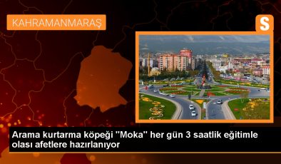 Sakarya İtfaiyesi’nin arama kurtarma köpeği Moka, her zaman göreve hazır